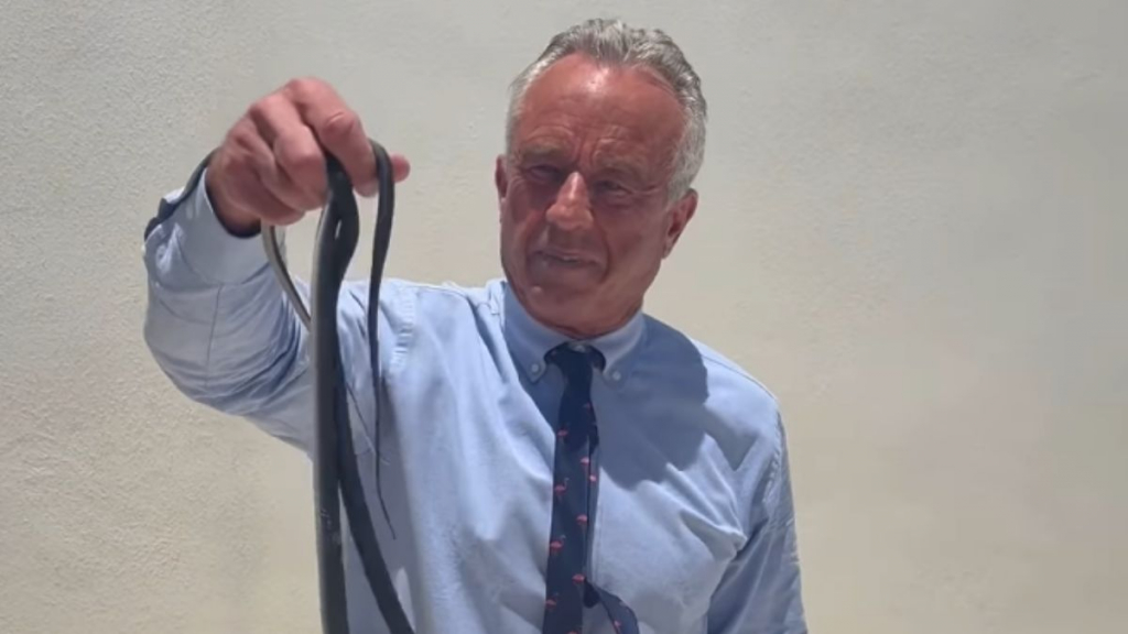 Secretário de Trump, Robert F. Kennedy Jr. tenta pegar cobra com a mão e é mordido; veja