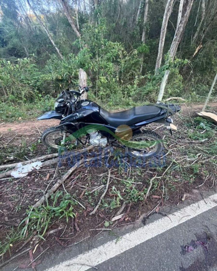 Árvore cai sobre motocicleta e deixa duas mulheres gravemente feridas na MG-111