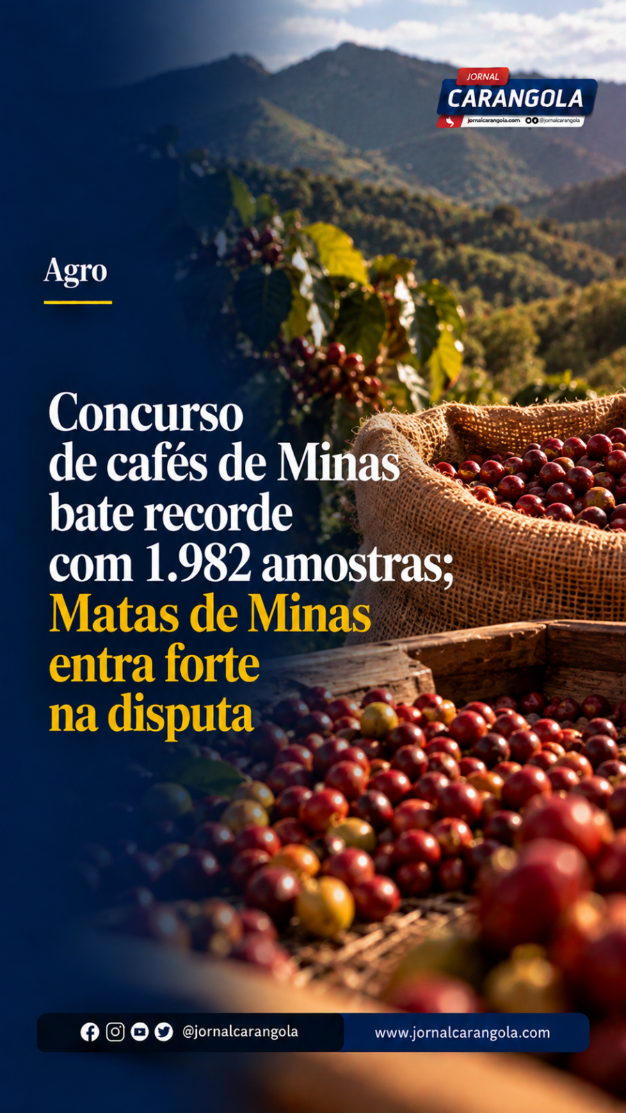 Concurso de cafés de Minas bate recorde com 1.982 amostras