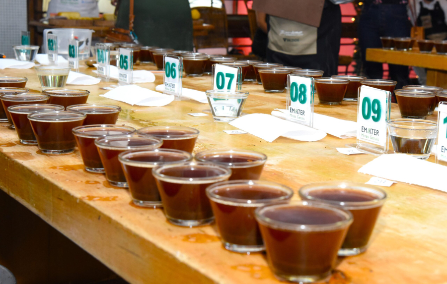 Manhuaçu entra na semana do 13º Concurso de Qualidade dos Cafés