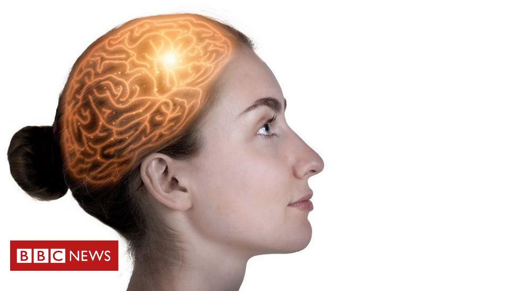 Como sistemas de memória múltipla mudam nossa compreensão do cérebro