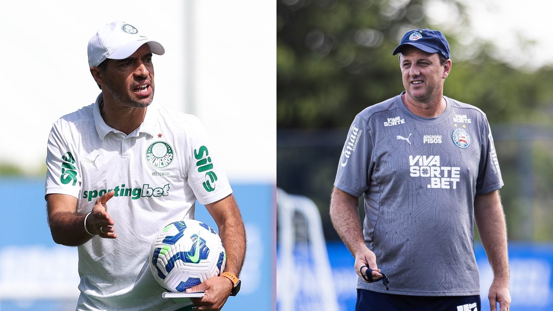 Líderes na Libertadores, Palmeiras e Bahia se enfrentam pelo Brasileiro